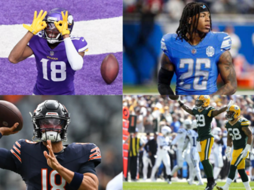 The NFC North