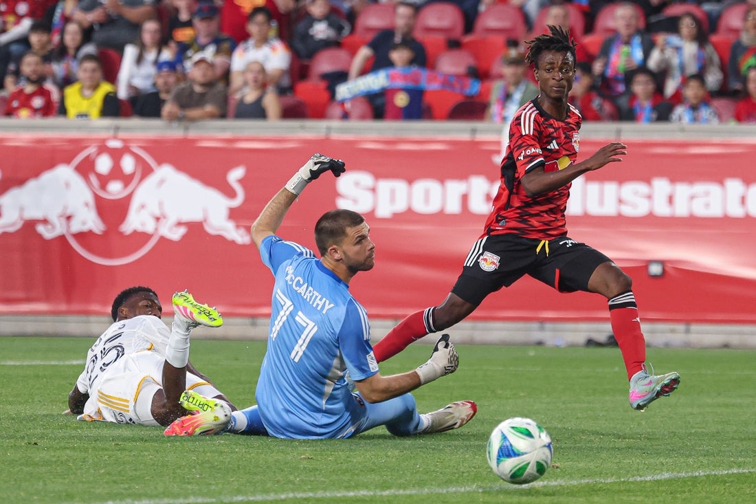 Red Bulls Goal